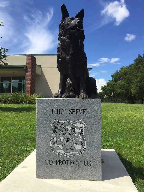 Are Dogs Allowed At Veterans Memorial Park